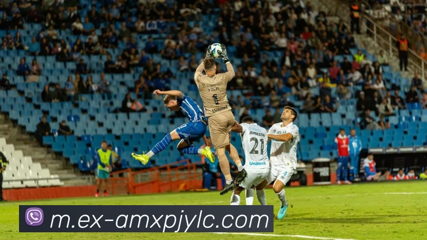 新葡京娱乐服务体系